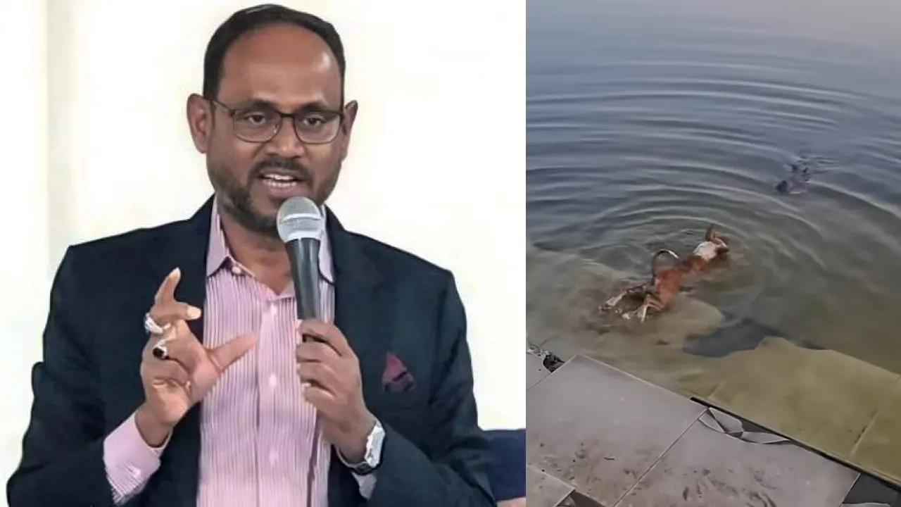 বাগেরহাটে কুকুর-কুমির কাণ্ডে কঠোর নির্দেশনা প্রতিমন্ত্রীর