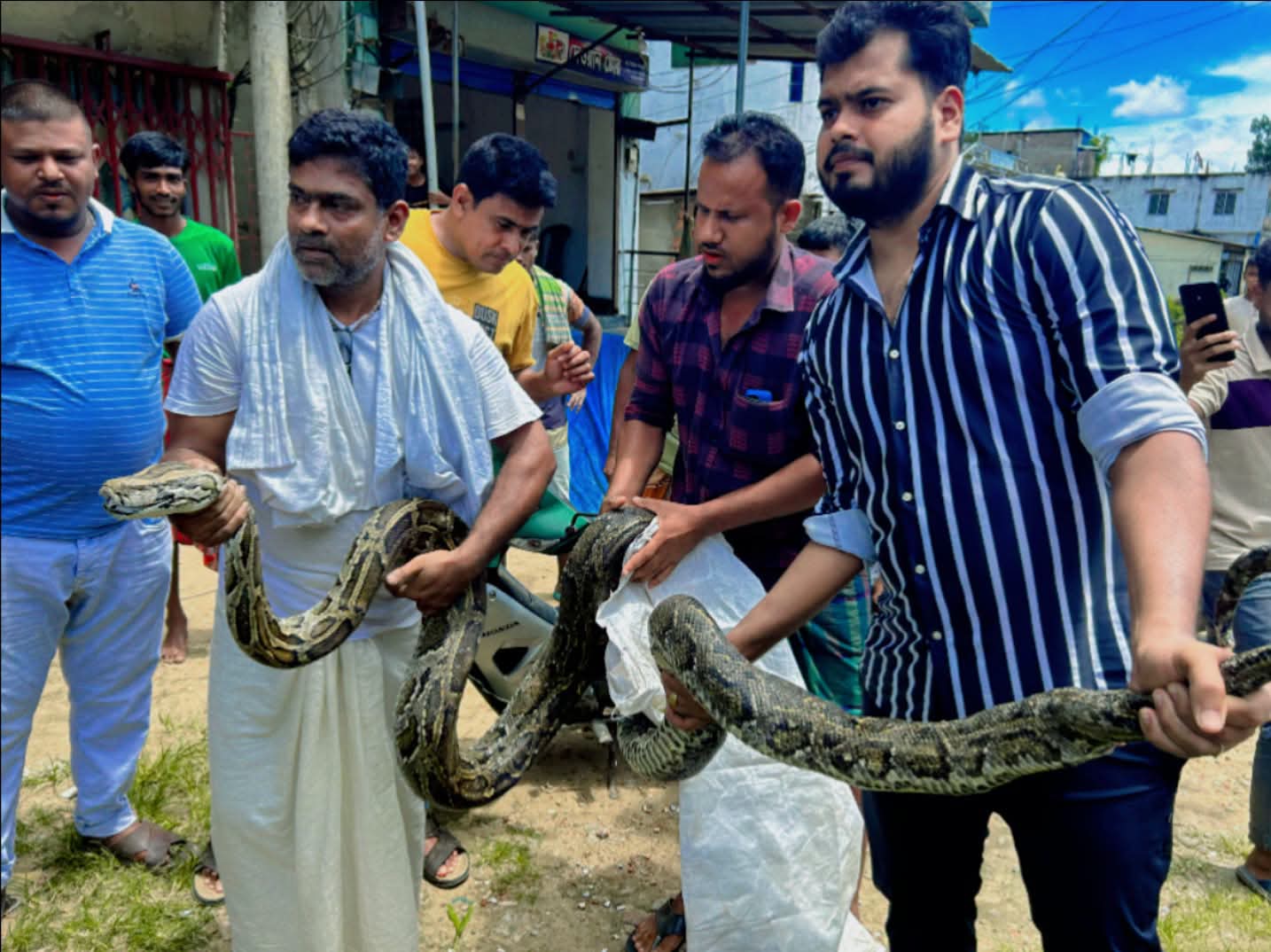 শ্রীমঙ্গলে লোকালয় থেকে ১৮ ফুট বিশালাকৃতির অজগর উদ্ধার 