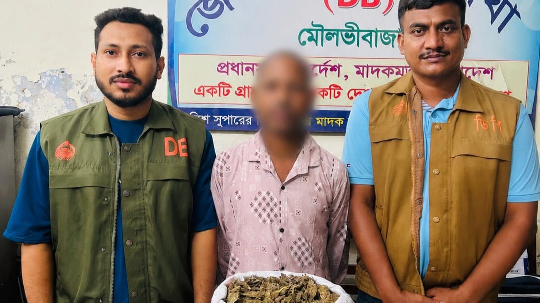 তিন কেজি গাঁজাসহ কারবারি ডিবির জালে