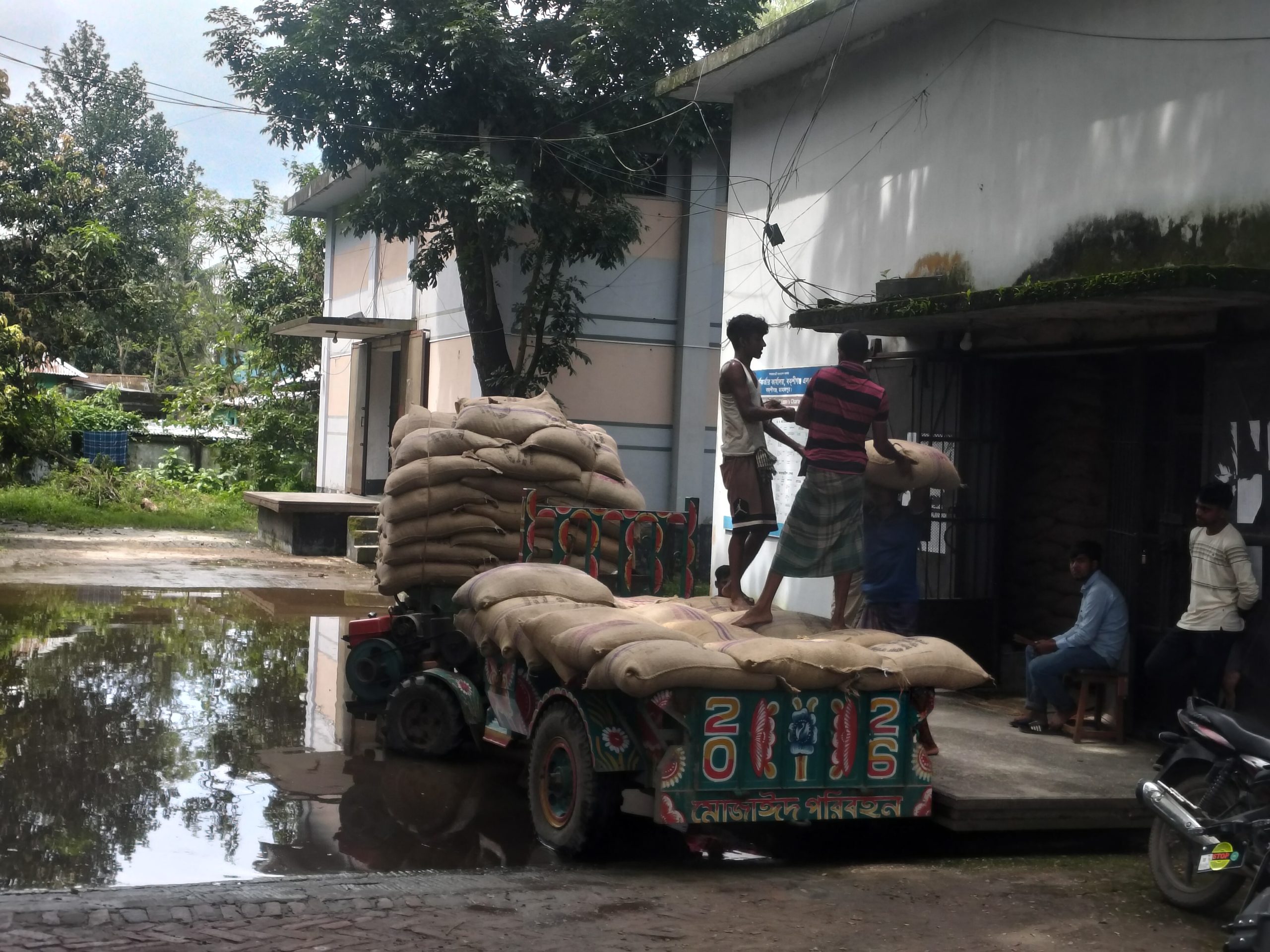 বস্তা ও জায়গা সংকটে সরকারি ধান-চাল সংগ্রহ কর্মসূচি বন্ধ