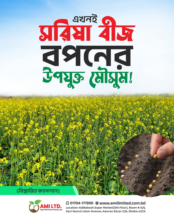 Advertisement