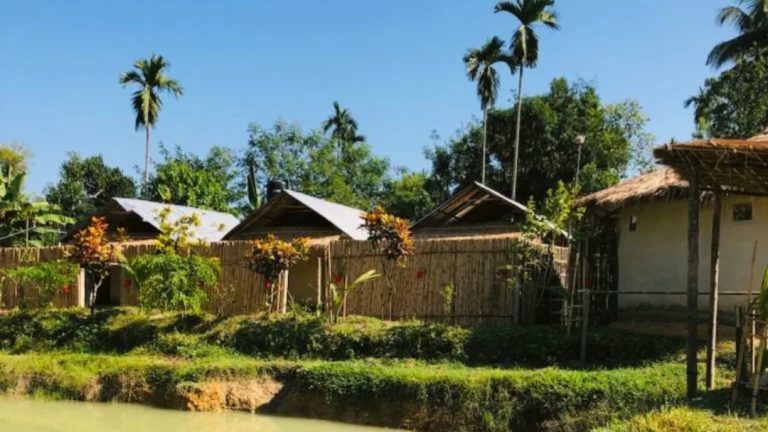 মৌলভীবাজারে ব্যাঙের ছাতার মত গড়ে উঠা রিসোর্টে পরিবেশ ধ্বংসলীলায় মেতেছে!