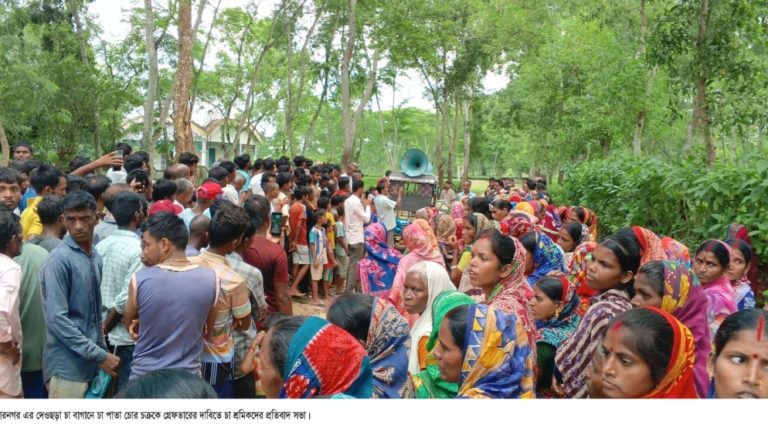 চা পাতা চুরিতে বাঁধা দেওয়ায় চুর চক্রের হামলায় আহত পাহাড়াদার; বিক্ষুব্ধ চা শ্রমিকরা