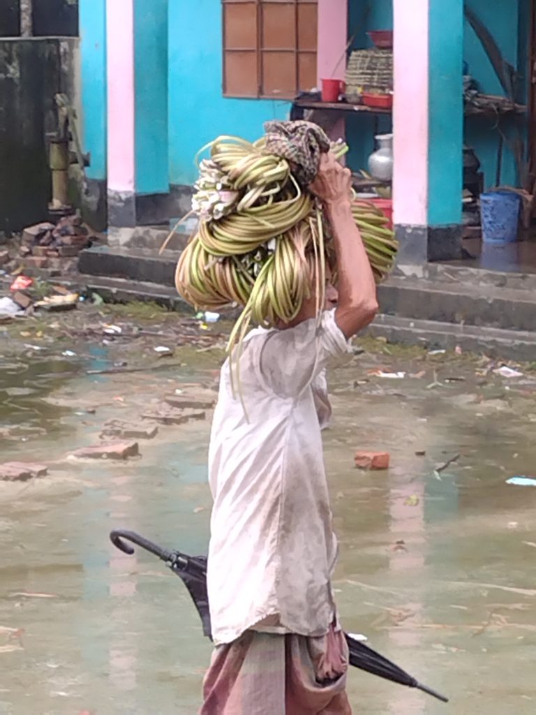 শাপলা বিক্রি করে জীবিকা নির্বাহ করছে রামগঞ্জের ৫ শতাধিক পরিবার