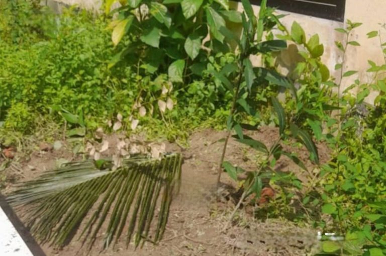 রামগঞ্জে রাতের আঁধারে রহস্যময় নতুন কবর স্থানীয়দের মাঝে আতঙ্ক