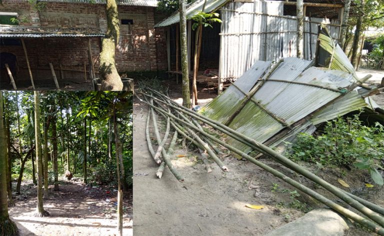 ঠাকুরগাঁওয়ে বসতবাড়ীর জমি জোরপূর্বক দখলের চেষ্টা, আতঙ্কে ভুক্তভোগী পরিবার