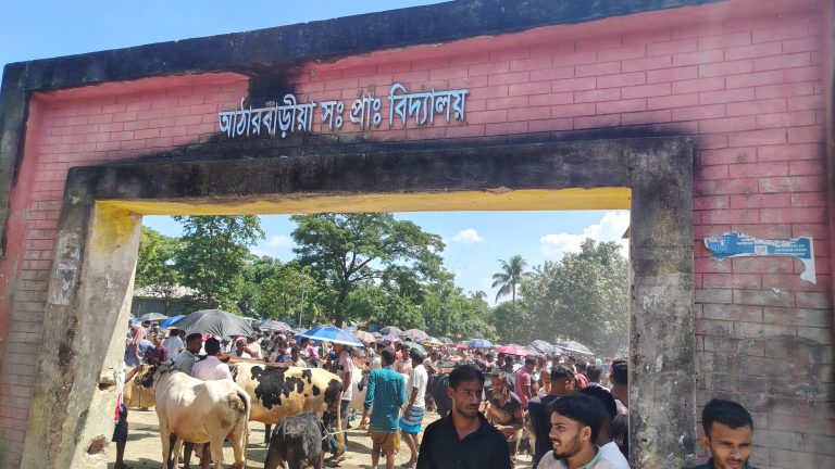 সরকারি নির্দেশ অমান্য করে স্কুল মাঠে গরুর হাট