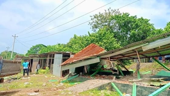 নেত্রকোনা সীমান্তে ৭টি অবৈধ স্থাপনা উচ্ছেদ