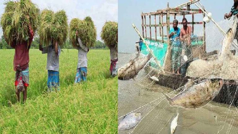 বাংলাদেশ থেকে ১০ হাজার কৃষি ও মৎস্য শ্রমিক নেবে ওমান