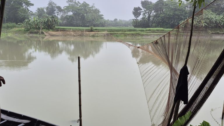 কটিয়াদী ও মনোহরদী আড়িয়াল খাঁর ৫ কিমি নদজুড়ে ২০টি জালের বাঁধ, ধ্বংস হচ্ছে মৎস্যসম্পদ ও জলজ প্রাণী 