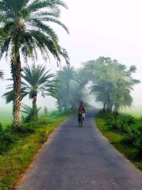 আশ্বিনেই শীতের উঁকিঝুঁকি! গাইবান্ধার সাত উপজেলায় ভোরে কুয়াশা-শিশির, বের হচ্ছে লেপ-কম্বল