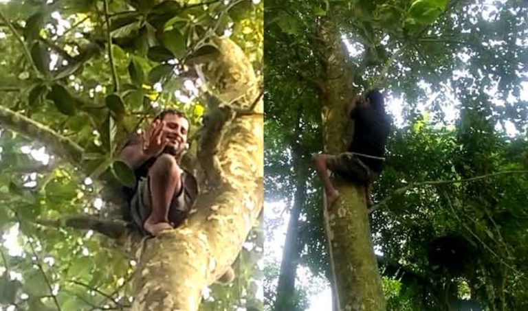 ৩০ বছর ধরে গাছ ছাঁটাই করে সংসার চালাচ্ছেন প্রতিবন্ধী কামাল