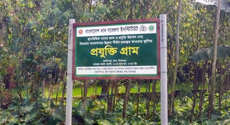 জাতীয় উৎপাদনশীলতা দিবস আলোচনায় দিনাজপুরের প্রযুক্তিগ্রাম, ৫২ ধানের জাত নিয়ে ব্যতিক্রমী রাইস গার্ডেন