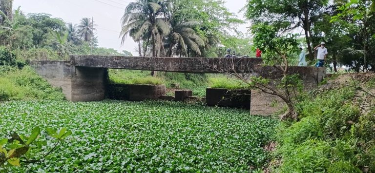 কাজে আসছে না রামগঞ্জে কোটি টাকা ব্যয়ে নির্মিত স্লুইস গেট স্বাভাবিক পানি প্রবাহের বাধা