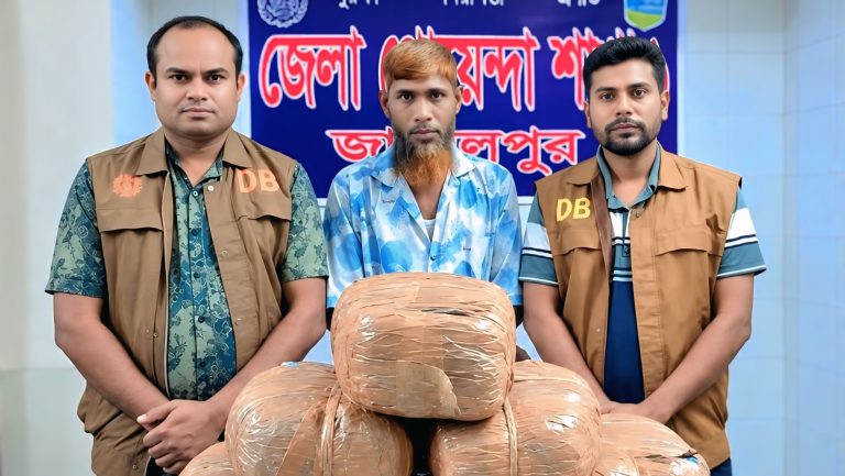 ডিবির অভিযানে আধা মণ গাঁজা উদ্ধার, জেলহাজতে কারবারি