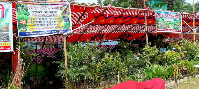 সাতক্ষীরার কালিগঞ্জে বৃক্ষ মেলার উদ্বোধন বিলম্বে বিপাকে নার্সারি ব্যবসায়ীরা