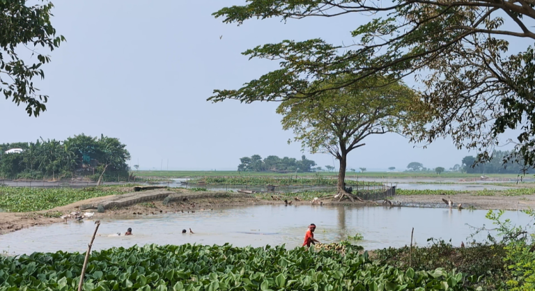 নিকলীতে মাছ ধরা নিয়ে দুই পক্ষের সংঘর্ষ, আহত ৮