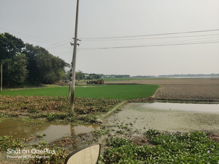 করিমগঞ্জে ফসলি জমির মাটি কাটার অভিযোগ, উদ্বিগ্ন কৃষকেরা