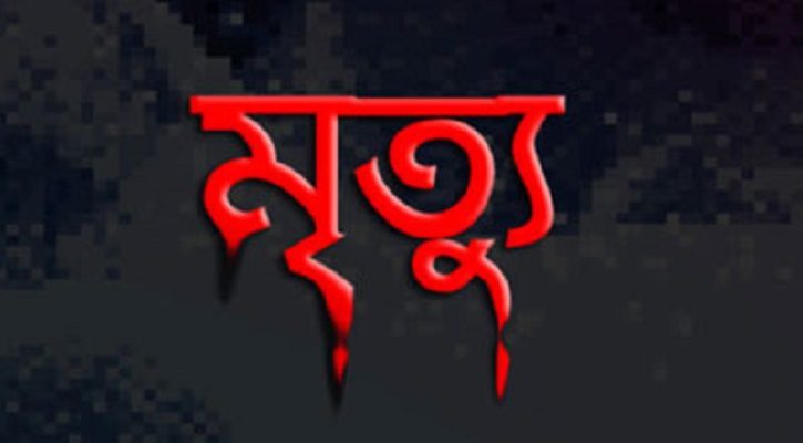 ছেলের বাড়ি যাওয়া হলো না মায়ের, ছিনতাইকারীর কবলে ঝরে গেল প্রাণ