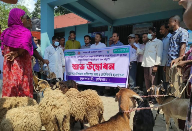 কুড়িগ্রামে পিপিআর রোগের বিনামূল্যে টিকাদান কর্মসূচির উদ্বোধন