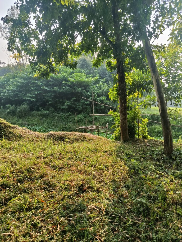 মীর পদবির ইতিহাস থেকে বগুড়ার হাজারাদিঘীর ‘মীর ভিটা’
