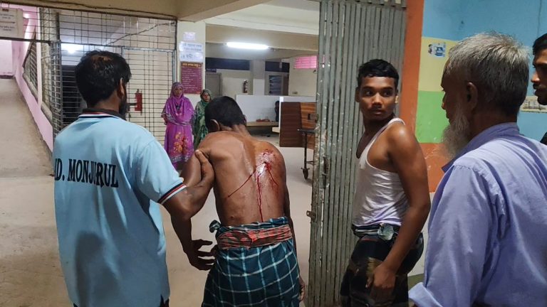 ভারত থেকে আসা বাঘের আক্রমণে লালমনিরহাট সীমান্তে আহত ৩