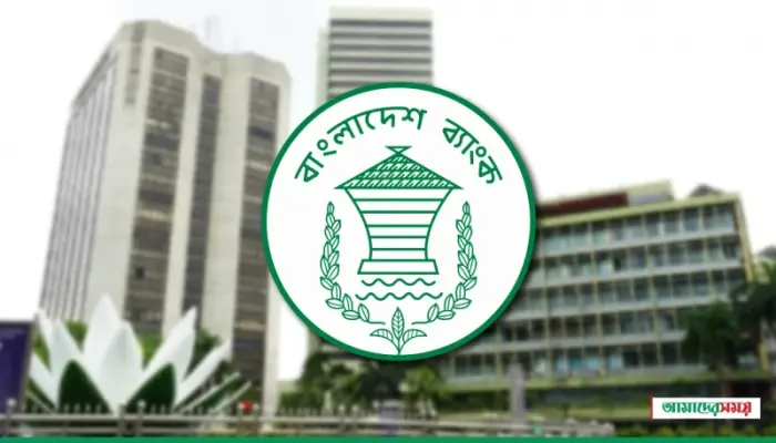 সাইবার হামলার শঙ্কায় বন্ধ রাখা হয়েছে বাংলাদেশ ব্যাংকের ওয়েবসাইট