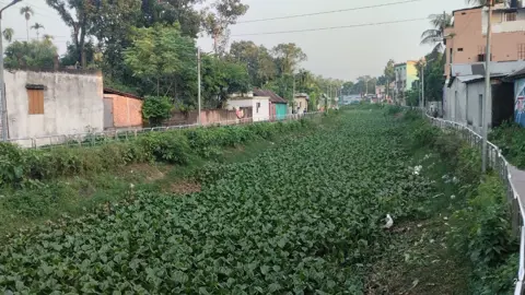 মোহনগঞ্জে ২৯ কোটি টাকার শিয়ালজানি খাল এখন ময়লার ডাস্টবিন 